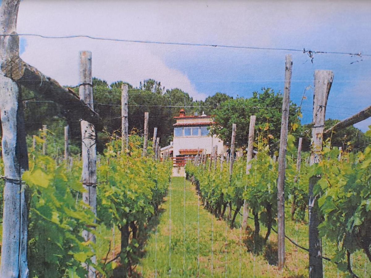 BeB Casale Pompei Rendine Villa Boscotrecase Exterior foto